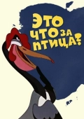 Постер Это что за птица? (1955)