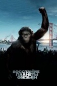 Постер Восстание планеты обезьян (2011)