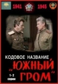Постер Кодовое название Южный гром (1980)
