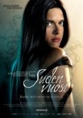 Постер Год волка (2007)