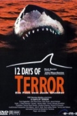 Постер 12 дней страха (2004)