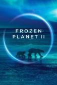 Постер BBC. Замёрзшая планета 2 (2022)