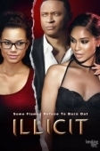 Постер Недозволенное (2017)
