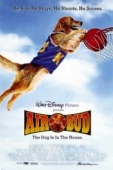 Постер Король воздуха (1997)