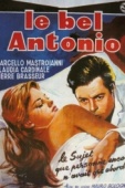 Постер Красавчик Антонио (1960)