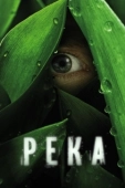 Постер Река (1984)