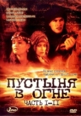 Постер Пустыня в огне