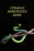 Постер Спецназ животного мира (2018)