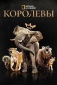 Постер Королевы