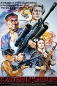 Постер Восточные кондоры (1987)
