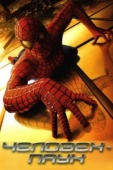 Постер Человек-паук (2002)