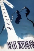 Постер Летят журавли (1957)