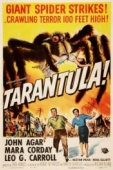 Постер Тарантул (1955)