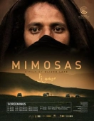 Постер Мимозы (2016)