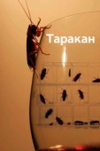 Постер Таракан (2022)