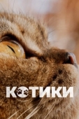 Постер Котики (2022)