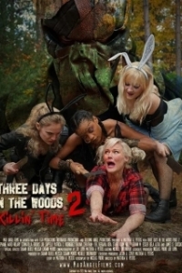 Постер Три дня в лесу 2: Убивая время (Three Days in the Woods 2: Killin' Time)