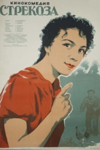 Постер Стрекоза 
