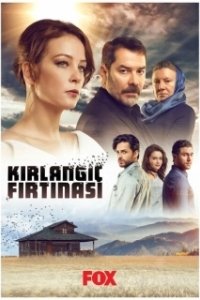 Постер Шторм ласточки (Kirlangiç Firtinasi)