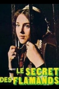 Постер Тайна фламандцев (Le secret des Flamands)
