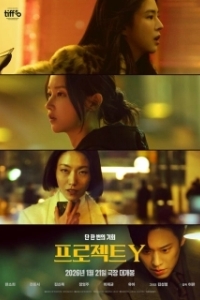 Постер Проект Y (Project Y)