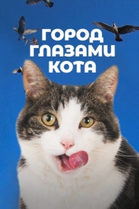 Постер Город глазами кота (De wilde stad)