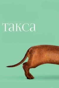 Постер Такса (Wiener-Dog)