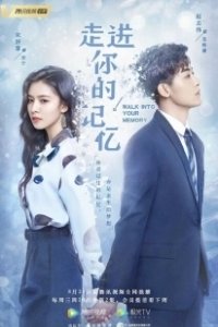 Постер Путешествие по твоей памяти (Zou jin ni de ji yi)