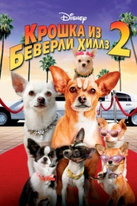 Постер Крошка из Беверли-Хиллз 2 (Beverly Hills Chihuahua 2)