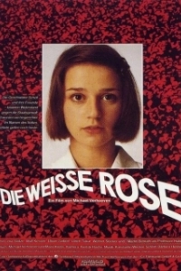 Постер Белая роза (The White Rose)