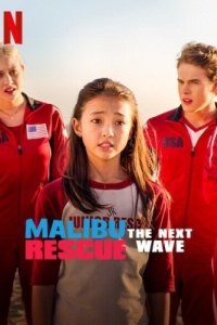 Постер Спасатели Малибу: Новая волна (Malibu Rescue: The Next Wave)