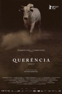 Постер Возвращение домой (Querência)