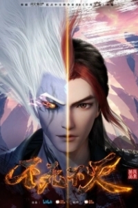 Постер Бесконечная борьба (Bu si bu mie)