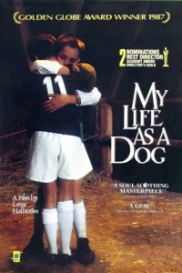 Постер Моя собачья жизнь (Mitt liv som hund)