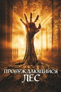 Постер Пробуждающийся лес (Wake Wood)