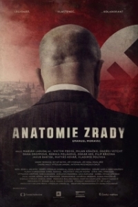 Постер Анатомия предательства (Anatomie zrady)