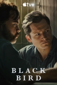 Постер Чёрная птица (Black Bird)