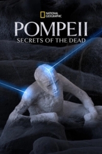 Постер National Geographic: Помпеи. Тайны мёртвых (Pompeii：Secrets Of The Dead)