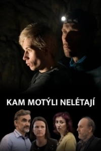 Постер Где не летают бабочки (Kam motýli nelétají)