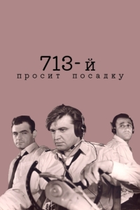 Постер 713-й просит посадку 