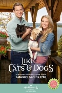 Постер Как кошка с собакой (Like Cats and Dogs)