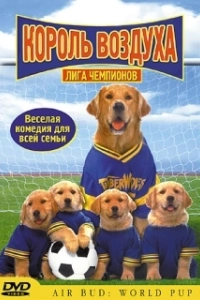 Постер Король воздуха: Лига чемпионов (Air Bud: World Pup)