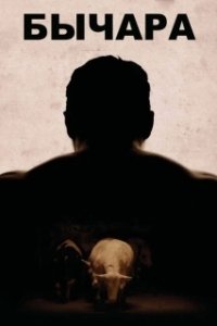Постер Бычара (Bull)