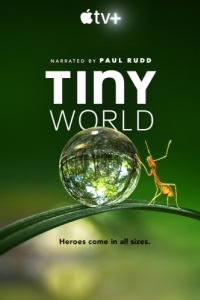 Постер Крошечный мир (Tiny World)