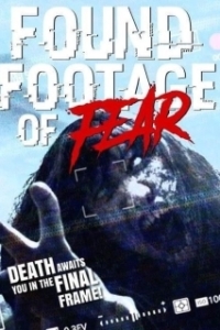 Постер Найденная плёнка ужасов (Found Footage of Fear)