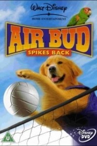 Постер Король воздуха: Возвращение (Air Bud: Spikes Back)