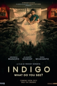 Постер Индиго (Indigo)