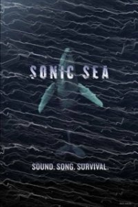 Постер Оглушающий океан (Sonic Sea)