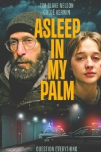 Постер Она заснула в моей ладони (Asleep in My Palm)