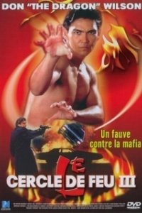 Постер Огненное кольцо 3: Удар льва (Ring of Fire 3: Lion Strike)